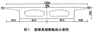 圖1 箱梁典型橫斷面爾意圖