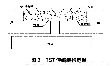 　圖3 TST伸縮縫構(gòu)造圈